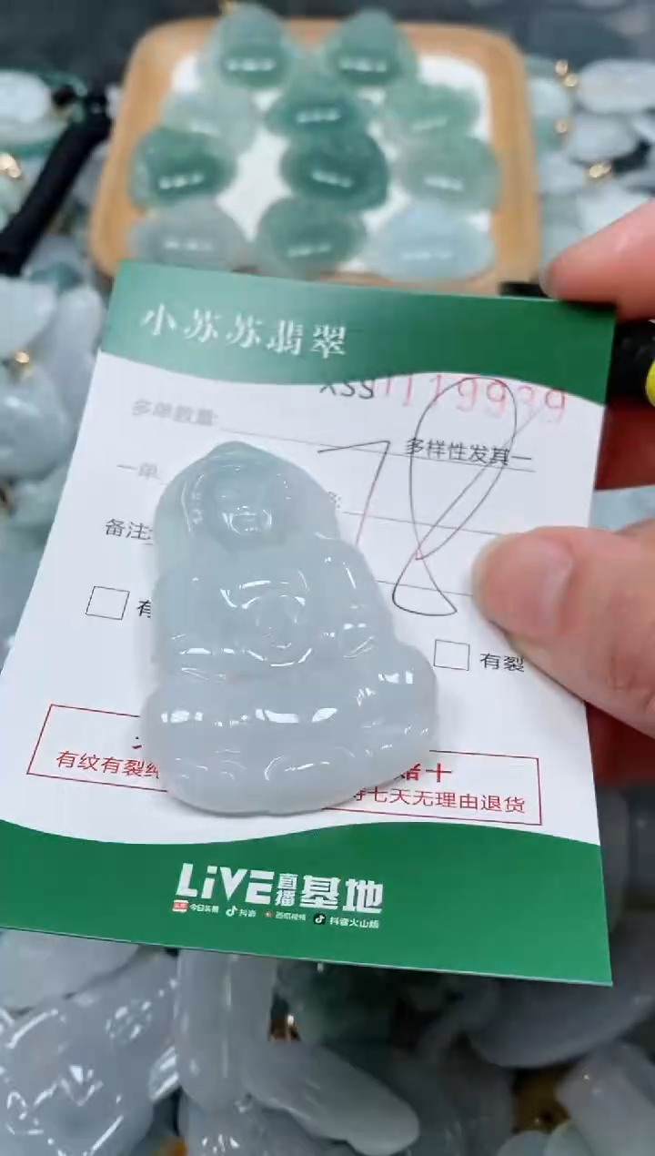 【闪购商品】翡翠颈饰未镶嵌闪购商品0119939