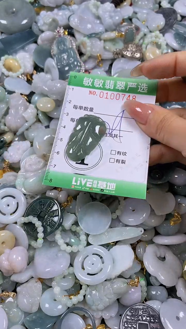 【闪购商品】翡翠颈饰未镶嵌闪购0100748