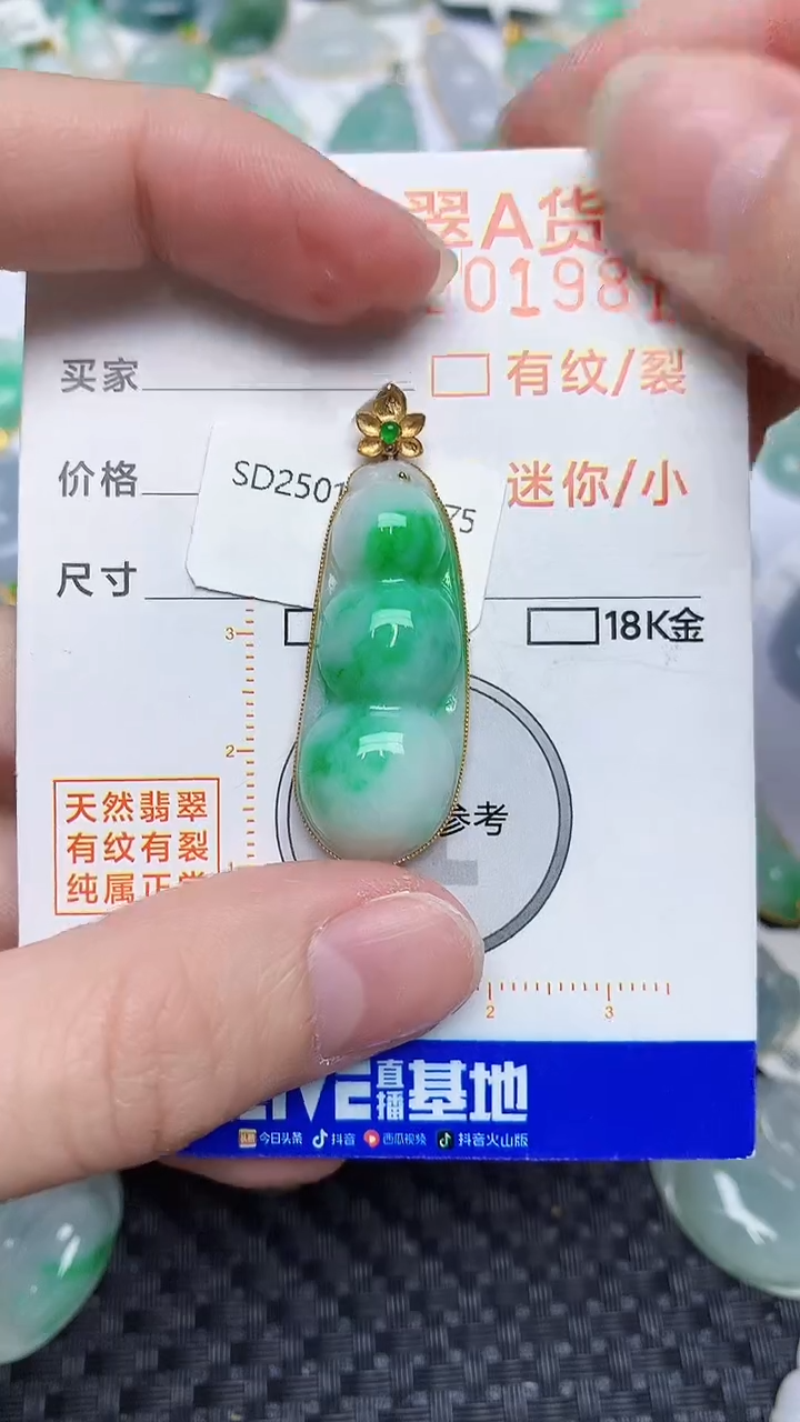 【闪购商品】翡翠颈饰18K金镶嵌45345345345