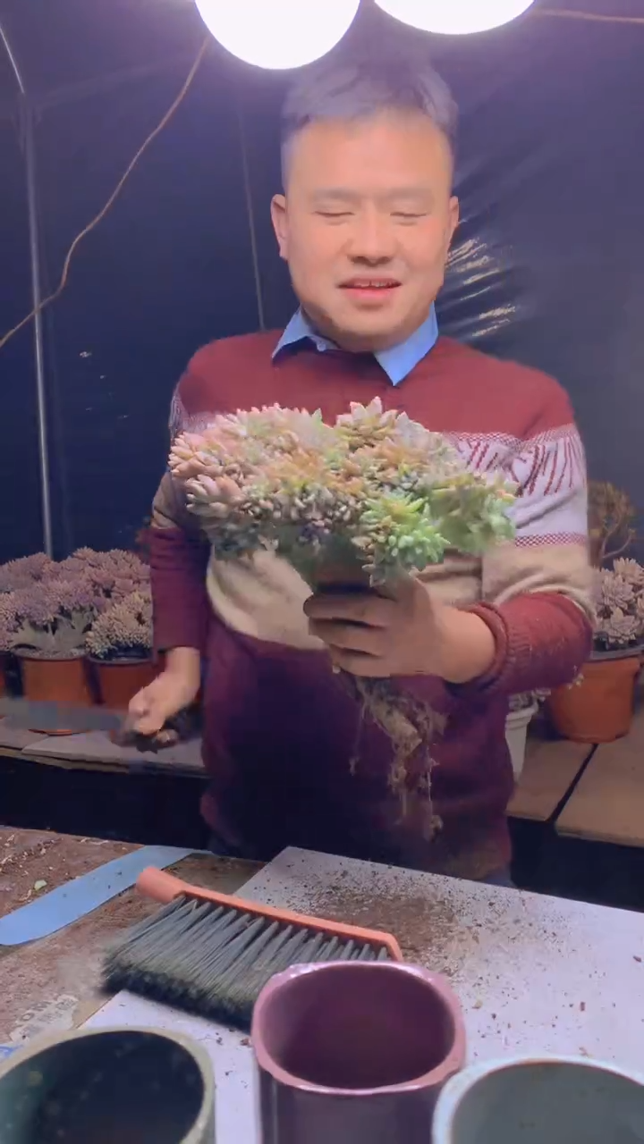 【闪购商品】缀化191