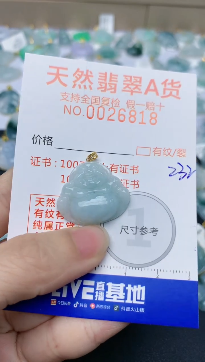【闪购商品】翡翠颈饰18K金镶嵌天然翡翠A货    232