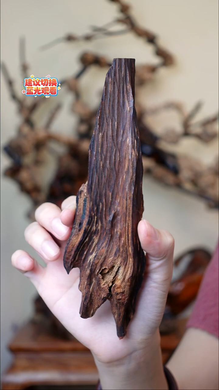 木本降真香红降花梨公 69g