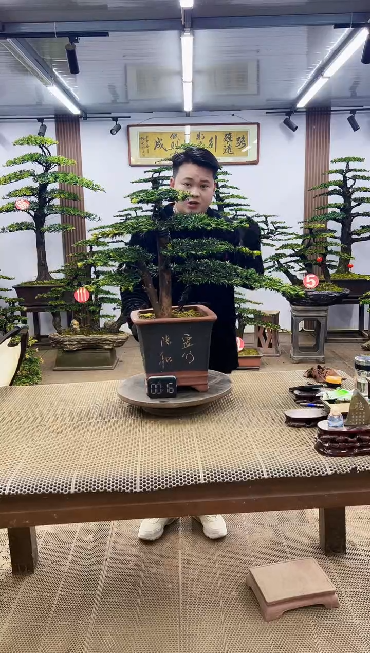 【闪购商品】000000000