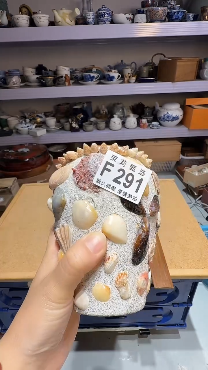 瓷片苗*酱茉莉甄选一号商品291