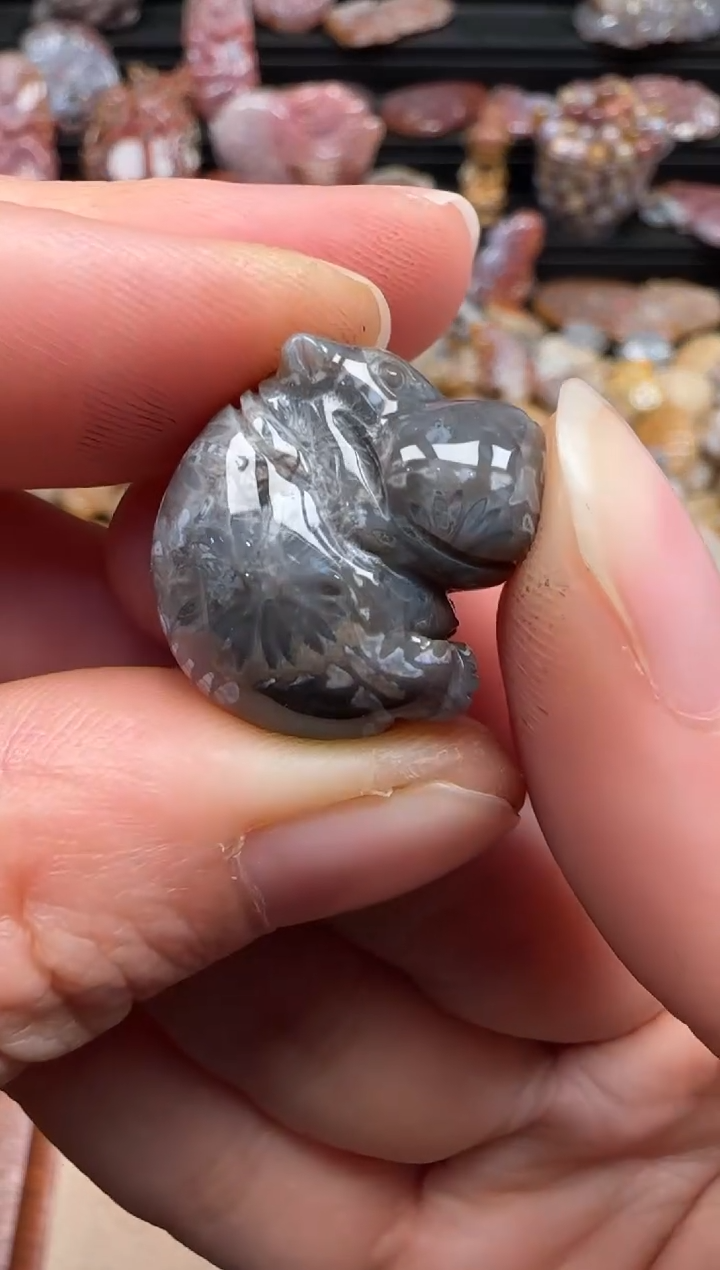 【闪购商品】硅化珊瑚（珊瑚玉）颈饰未镶嵌231