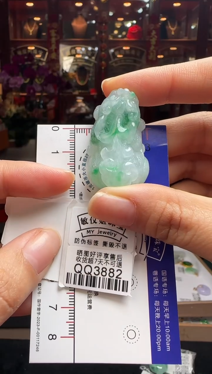 【闪购商品】翡翠颈饰未镶嵌QQ3882貔貅