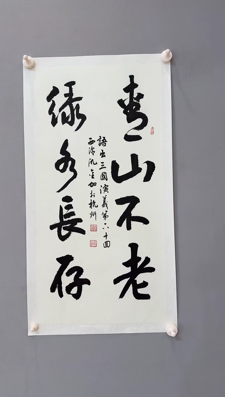 【闪购商品】书法沈金加老师书法作品