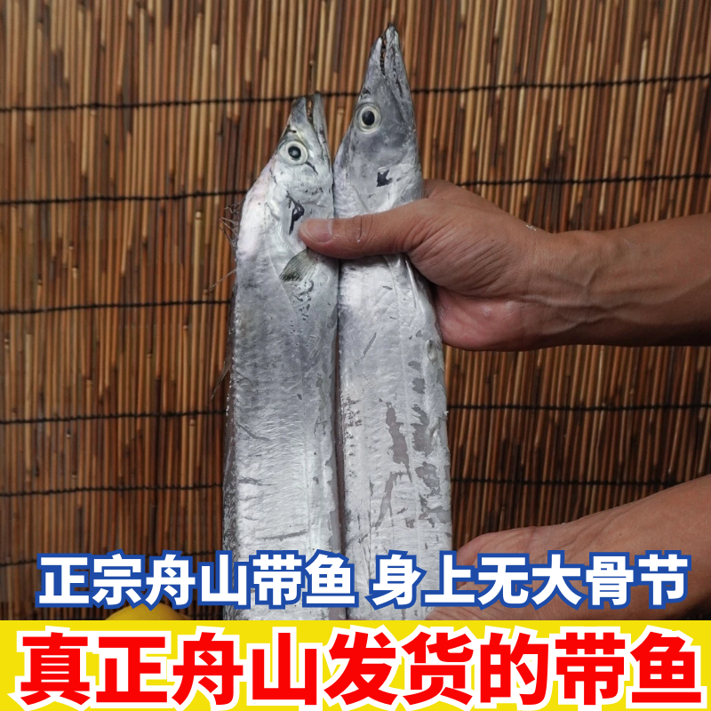 【顶带】正宗舟山野生小眼睛带鱼 老鹰嘴油脂丰厚肉质鲜嫩 顺丰冷链