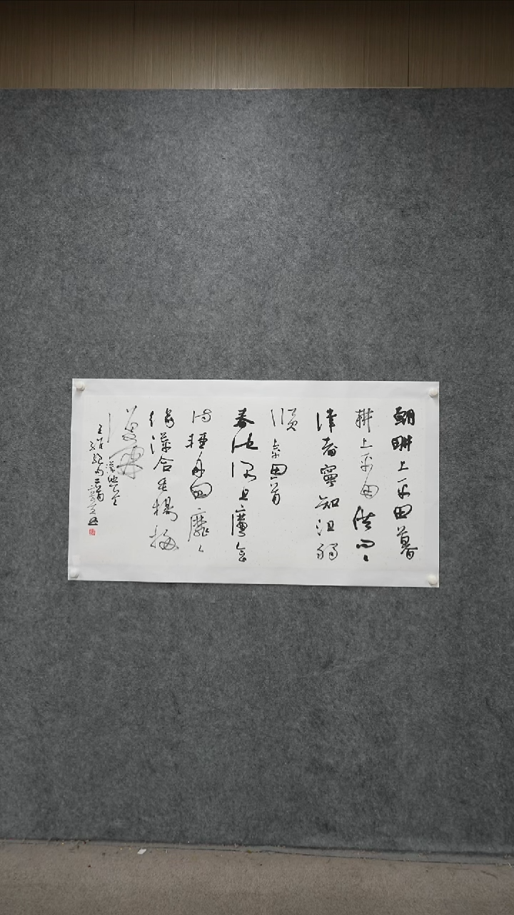 书法书法XQX老师作品