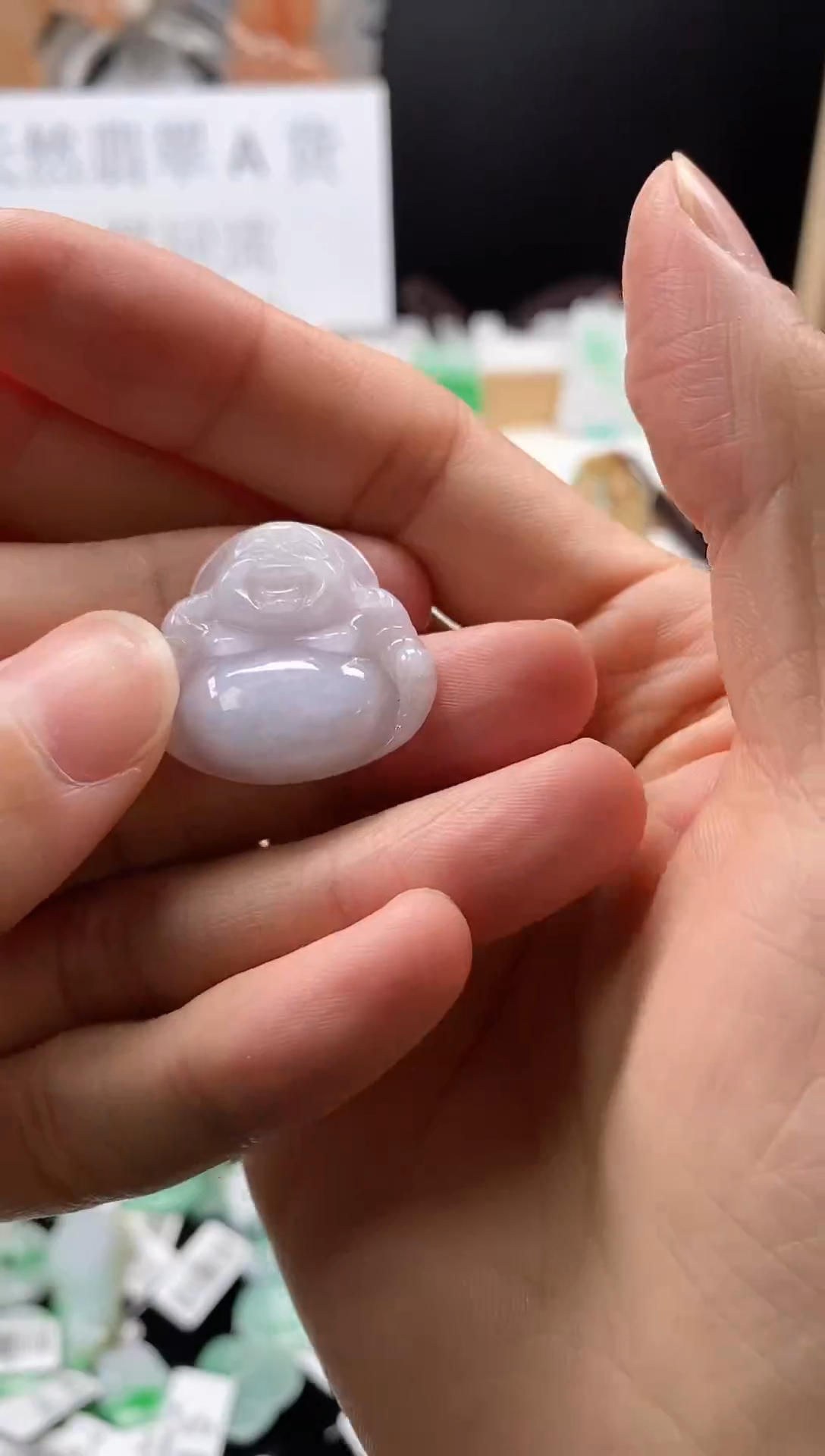 【闪购商品】翡翠颈饰未镶嵌103佛公