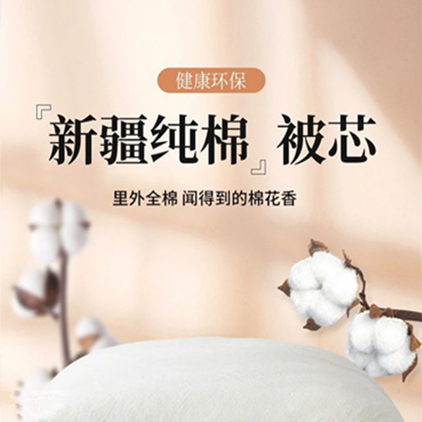 新疆无网棉花被 （无网棉胎+纱布套）（纱布套勿洗）