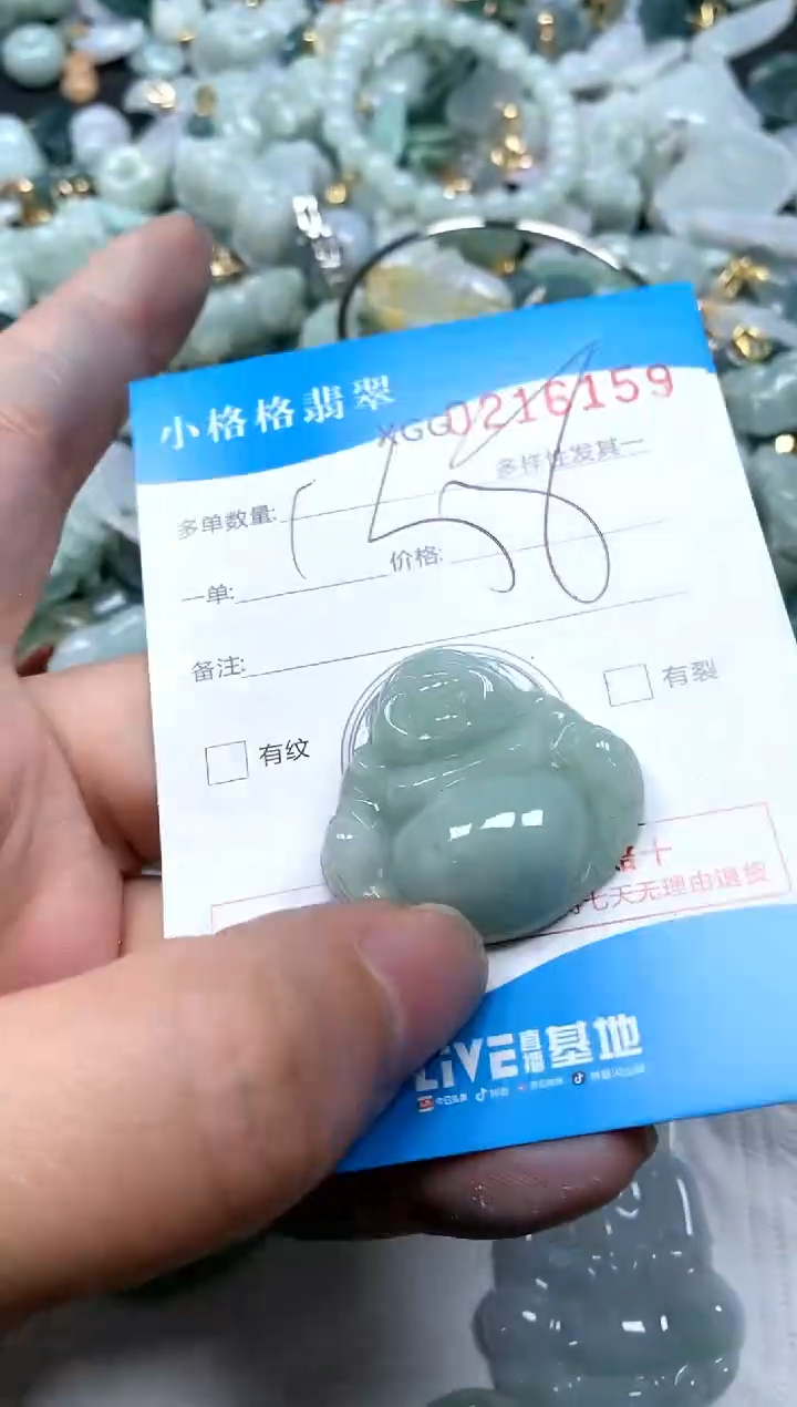 【闪购商品】翡翠颈饰未镶嵌闪购商品0216159