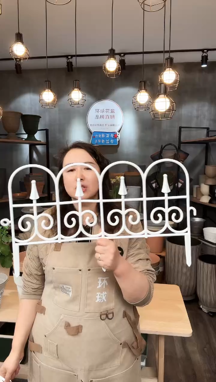 白色栅栏片10只装