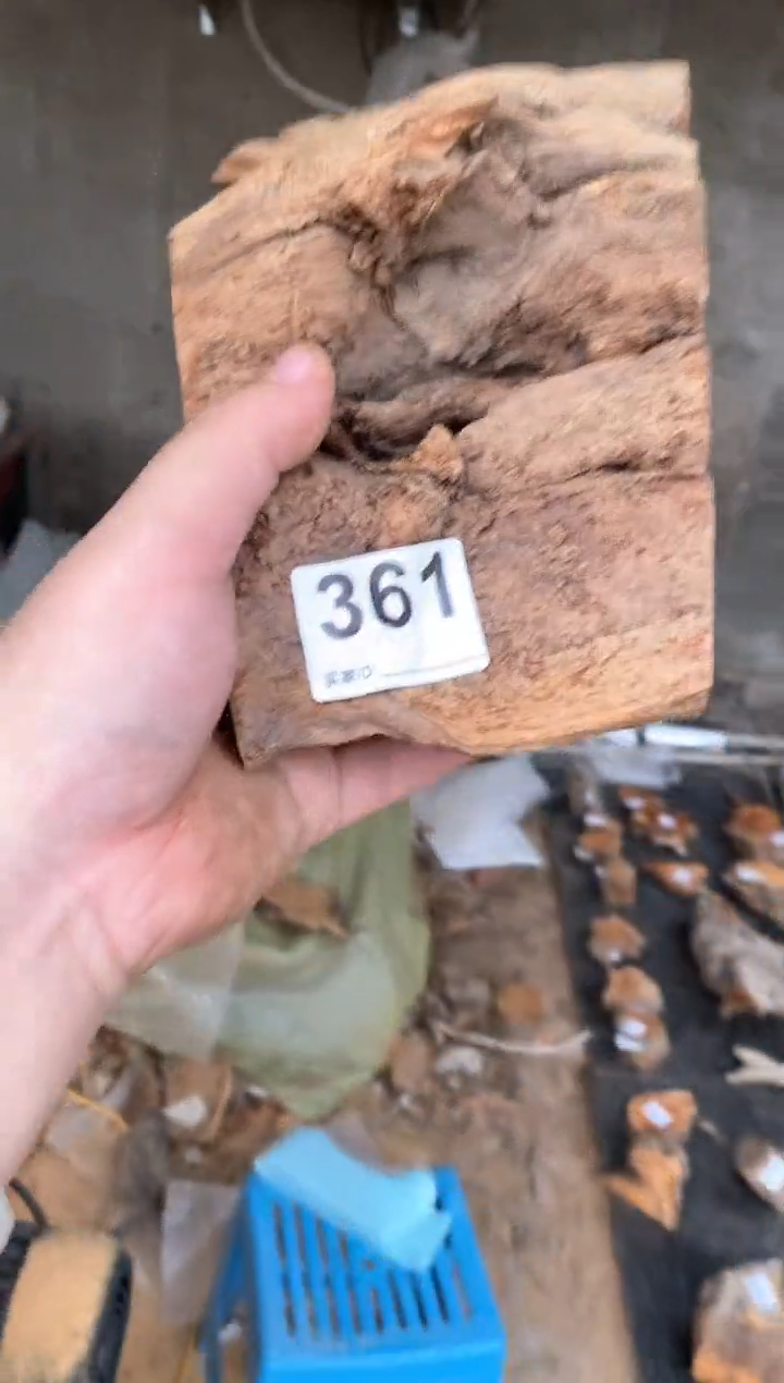 【闪购商品】柏木太行陈化崖柏（津诚林）切片