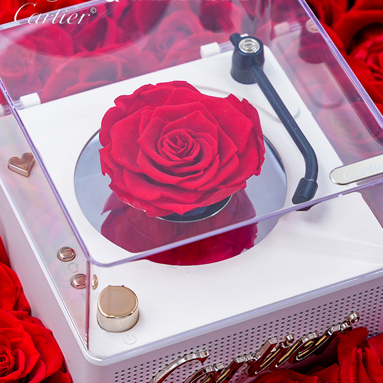 轻奢小众高级感创意无线蓝牙小音箱送礼好物音响