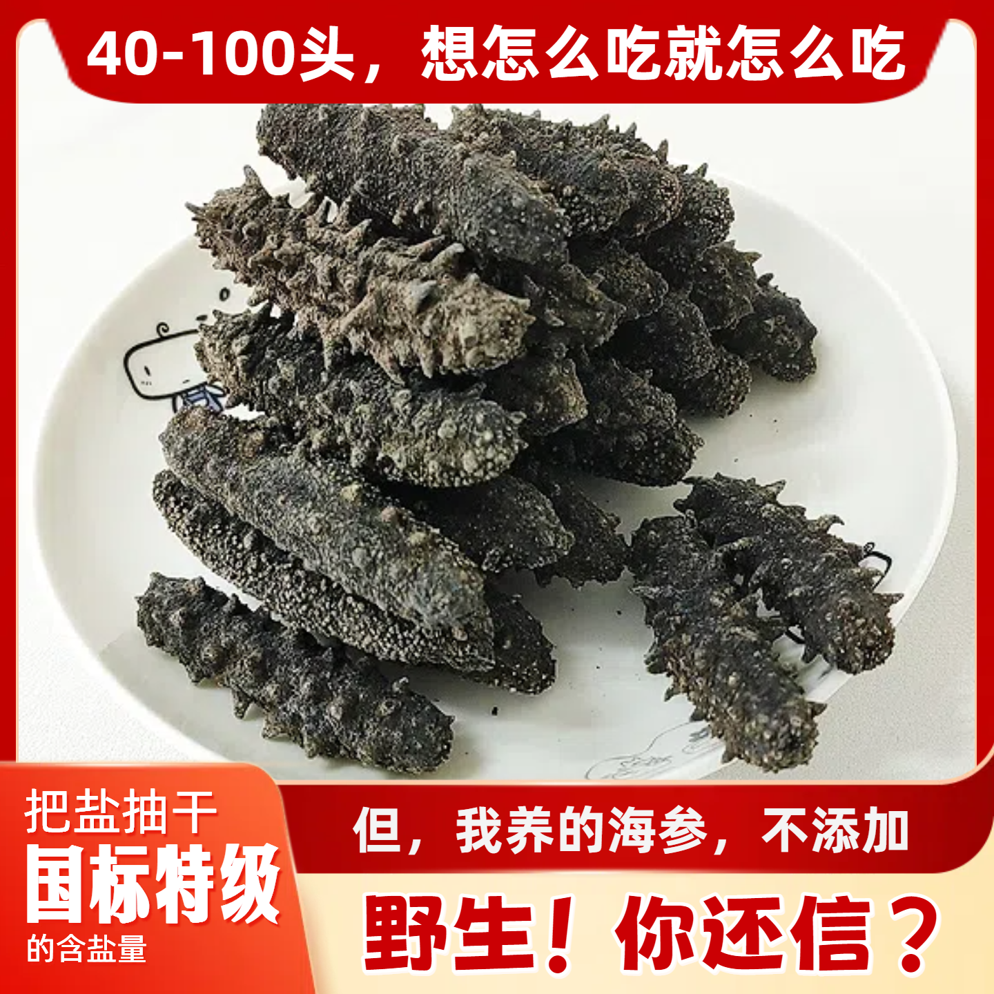 50g体验装，无添加青岛围堰海参，高端口粮参，国特高泡发