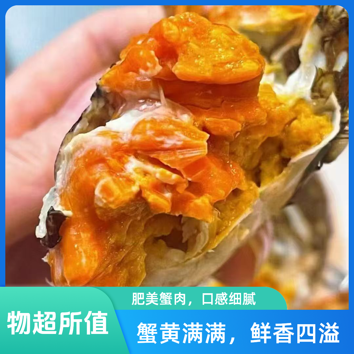 6只小母1.8两一只【嵊州同城配送到家】