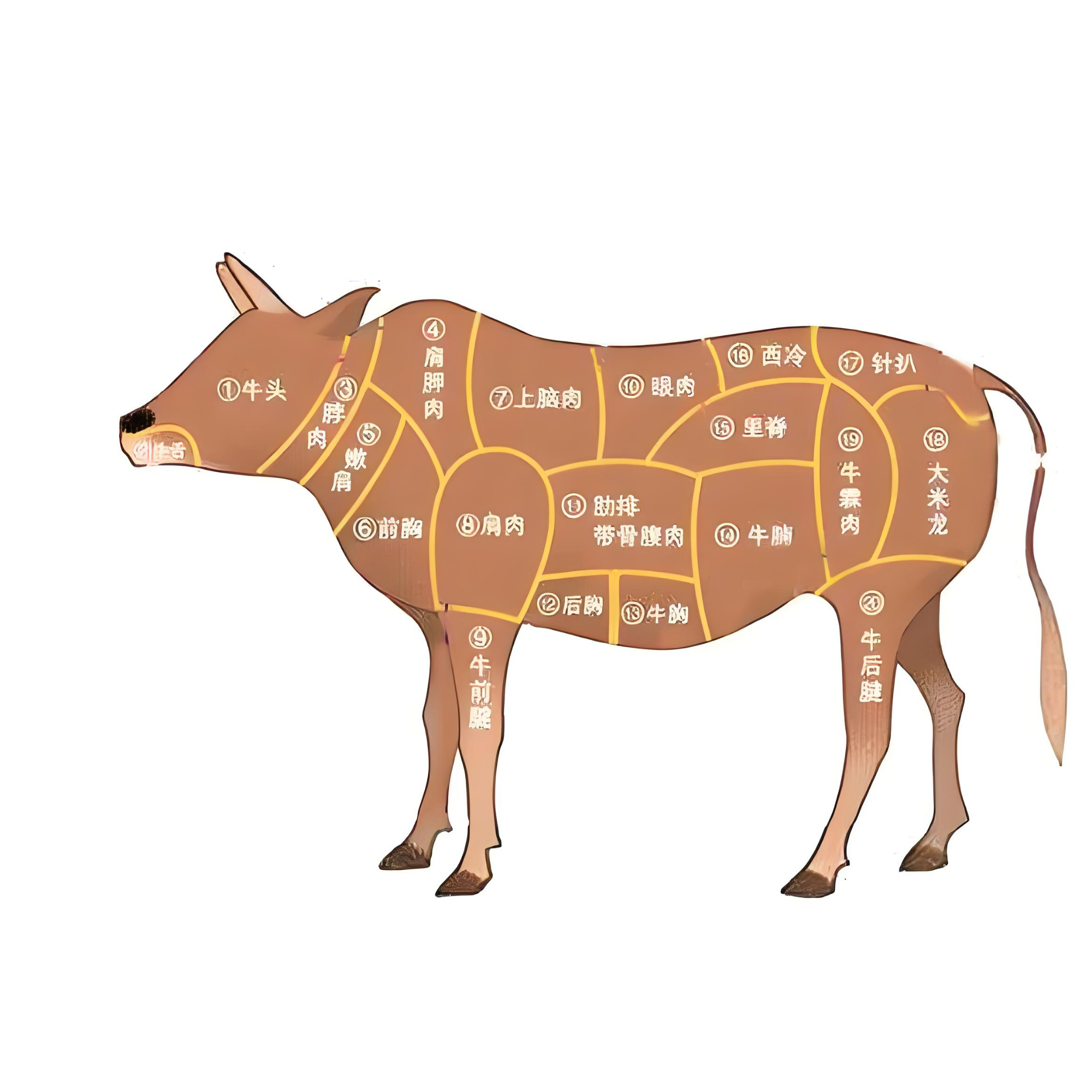 【丰营】黄牛肉 一物一拍（现称单品重量以直播为主）