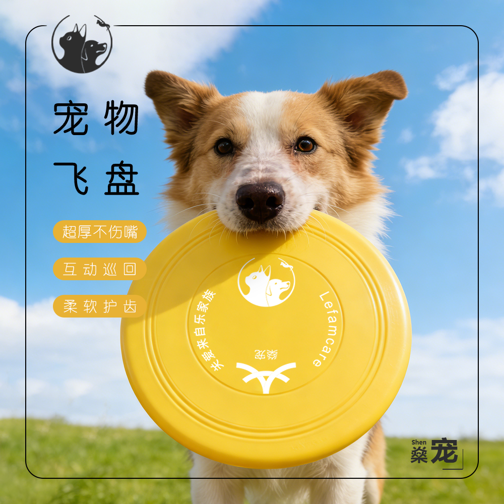 燊宠狗狗飞盘玩具户外互动训练耐咬可浮水适合全类型犬