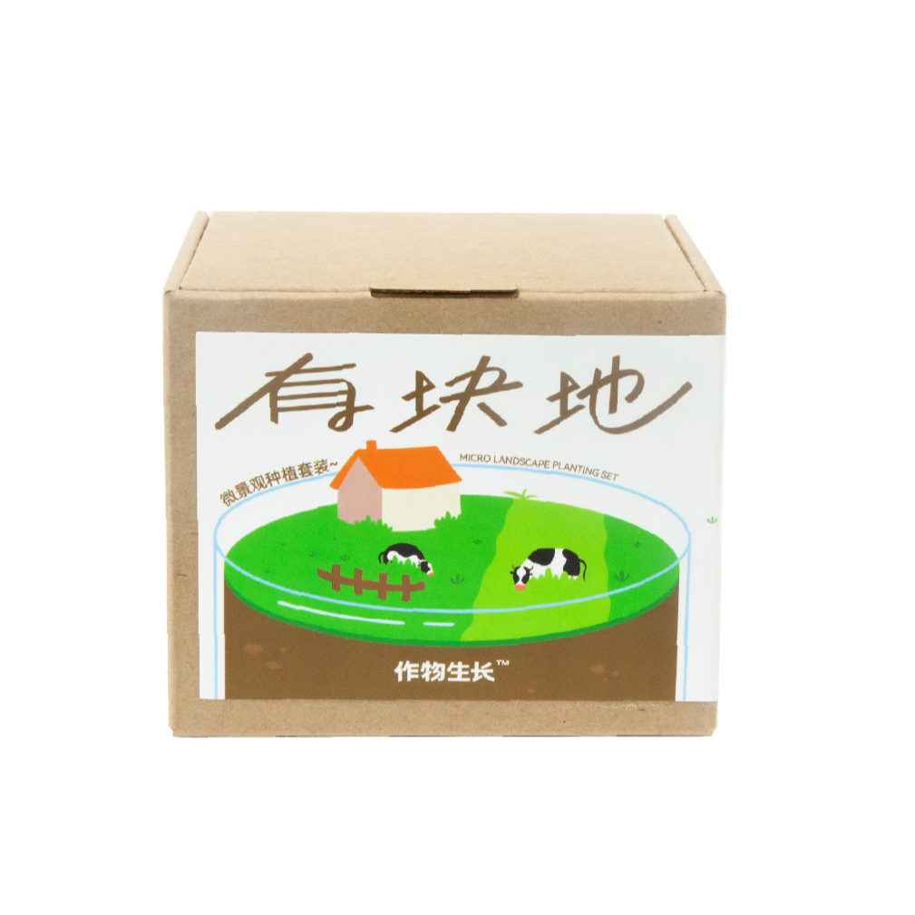 【洛嘉森友会甄选】作物生长苔藓藻类微景观DIY种植