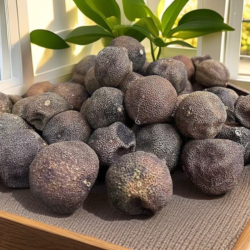 【翁果】20柑宝陈皮果生晒典藏工艺【俩晓兄妹百茶】