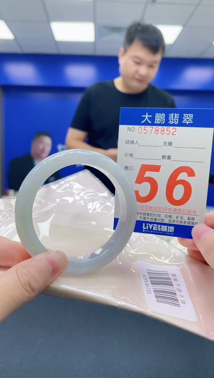 未镶嵌手镯翡翠AAAAAAAAAA