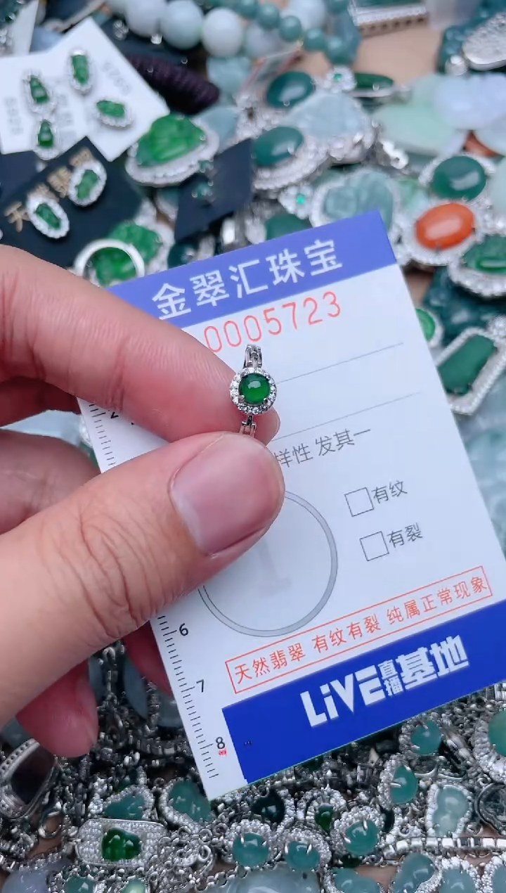 翡翠未镶嵌颈饰5723.......1