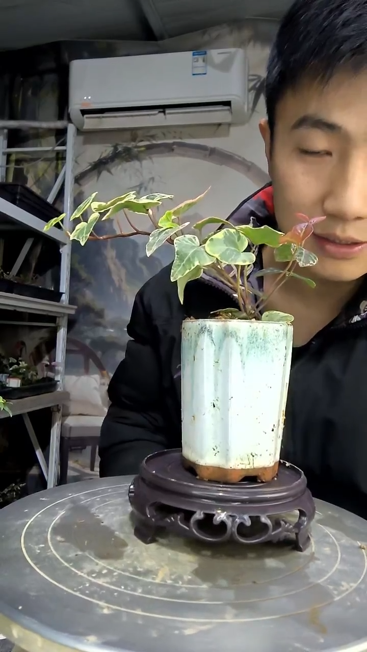 思*中青园艺一物一拍花159