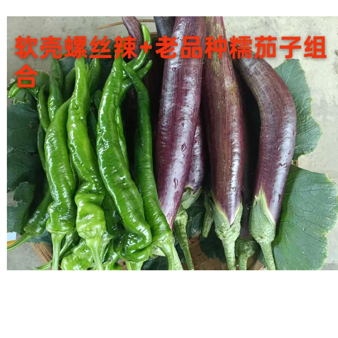 茄子+软糯辣椒组合装
