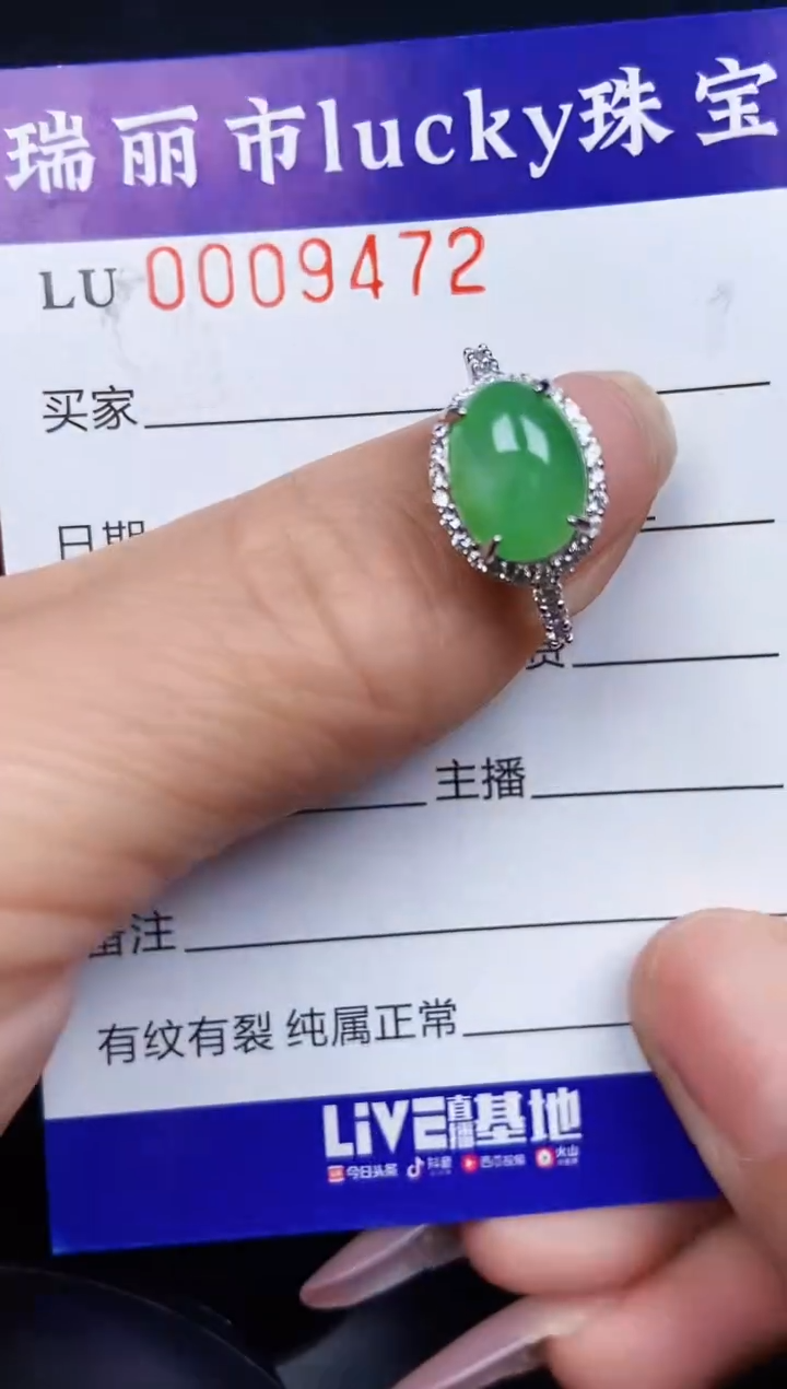 翡翠银S925镶嵌颈饰9472