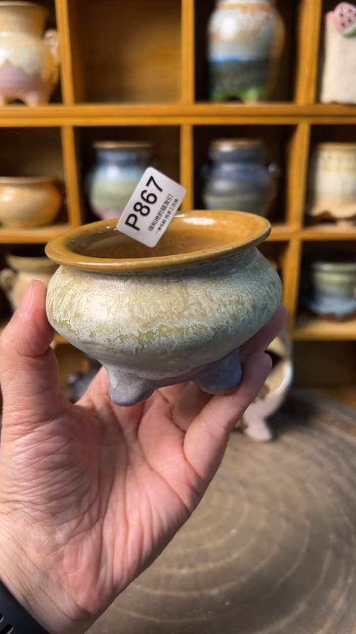 867 内口6【多肉花盆多肉盆】