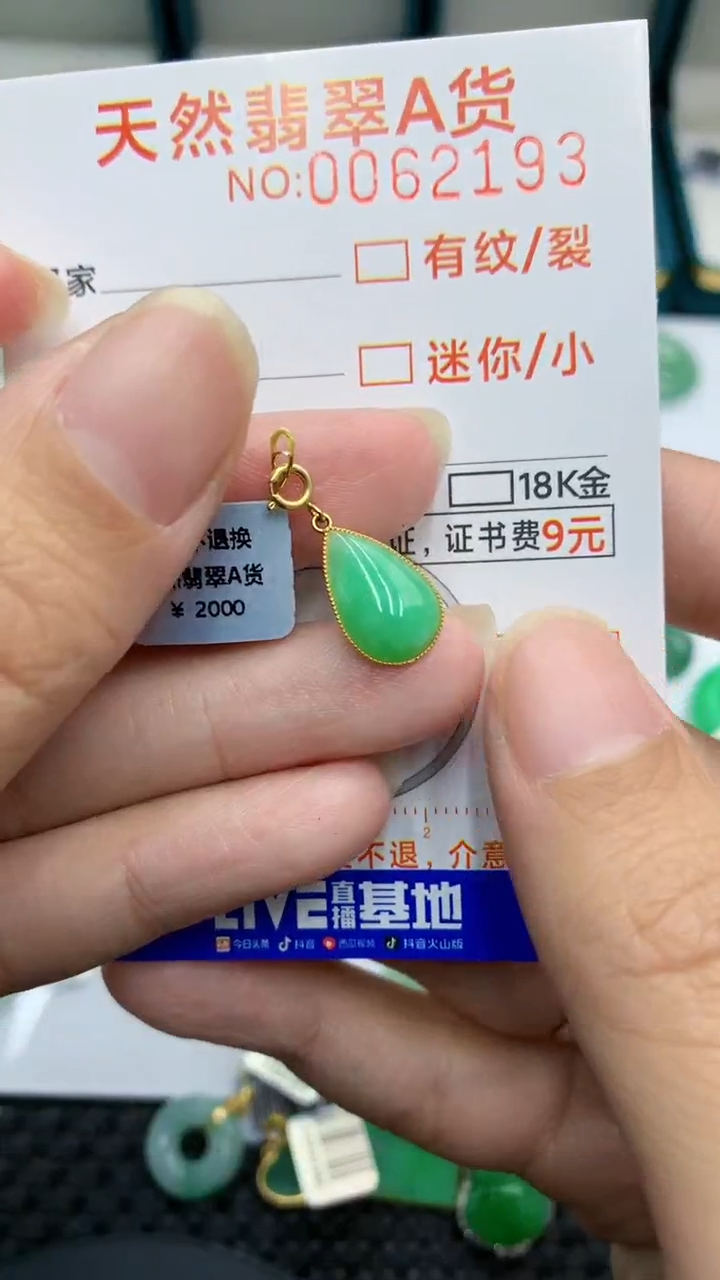 【闪购商品】翡翠颈饰18K金镶嵌            8
