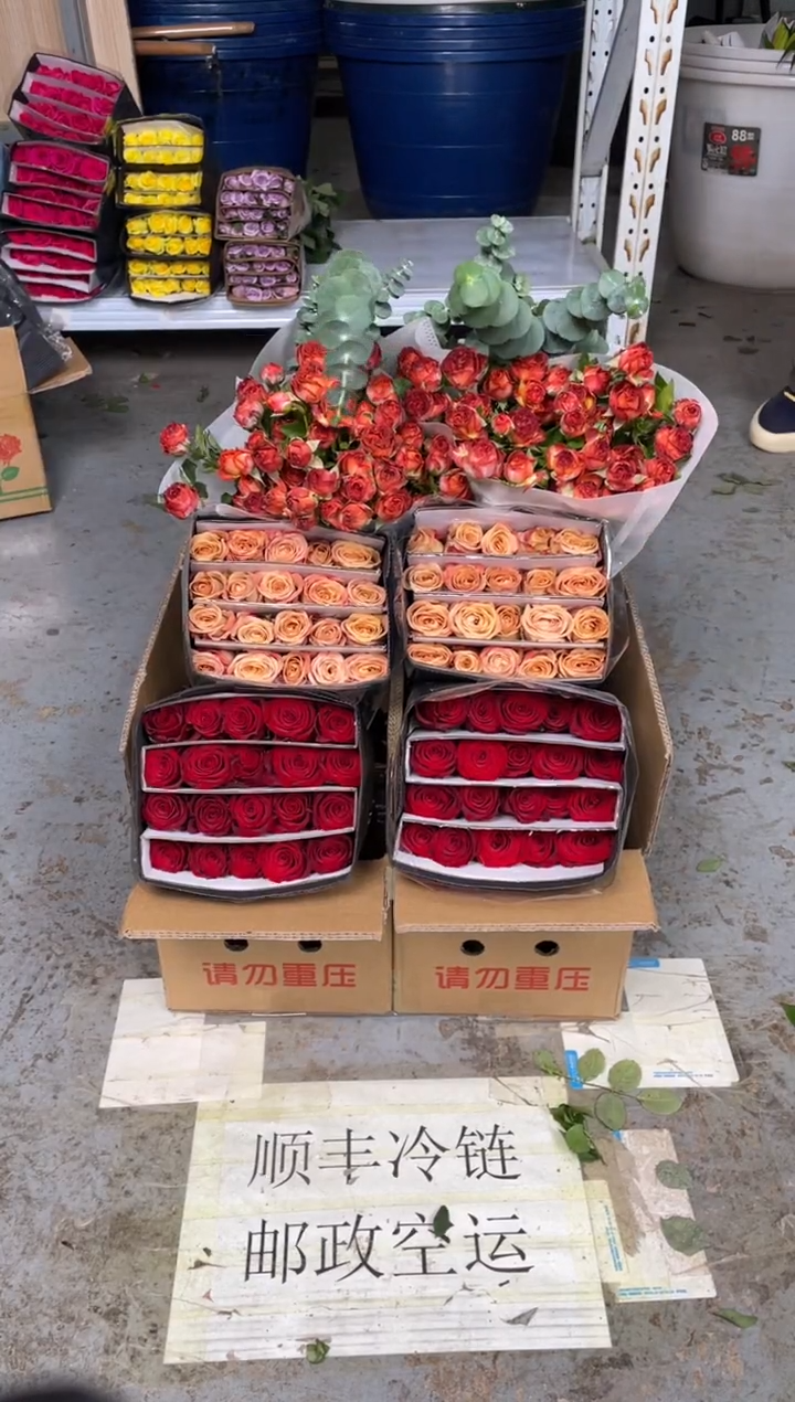 高原红20枝+卡布20枝+巧克力10枝+尤加利