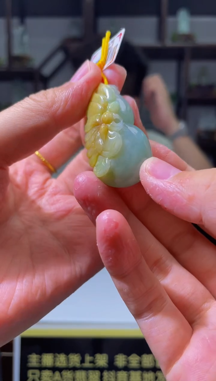 翡翠未镶嵌颈饰X-@@WYZM80326