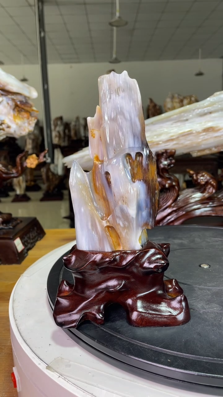 【闪购商品】硅化玉珠宝奇石未镶嵌1