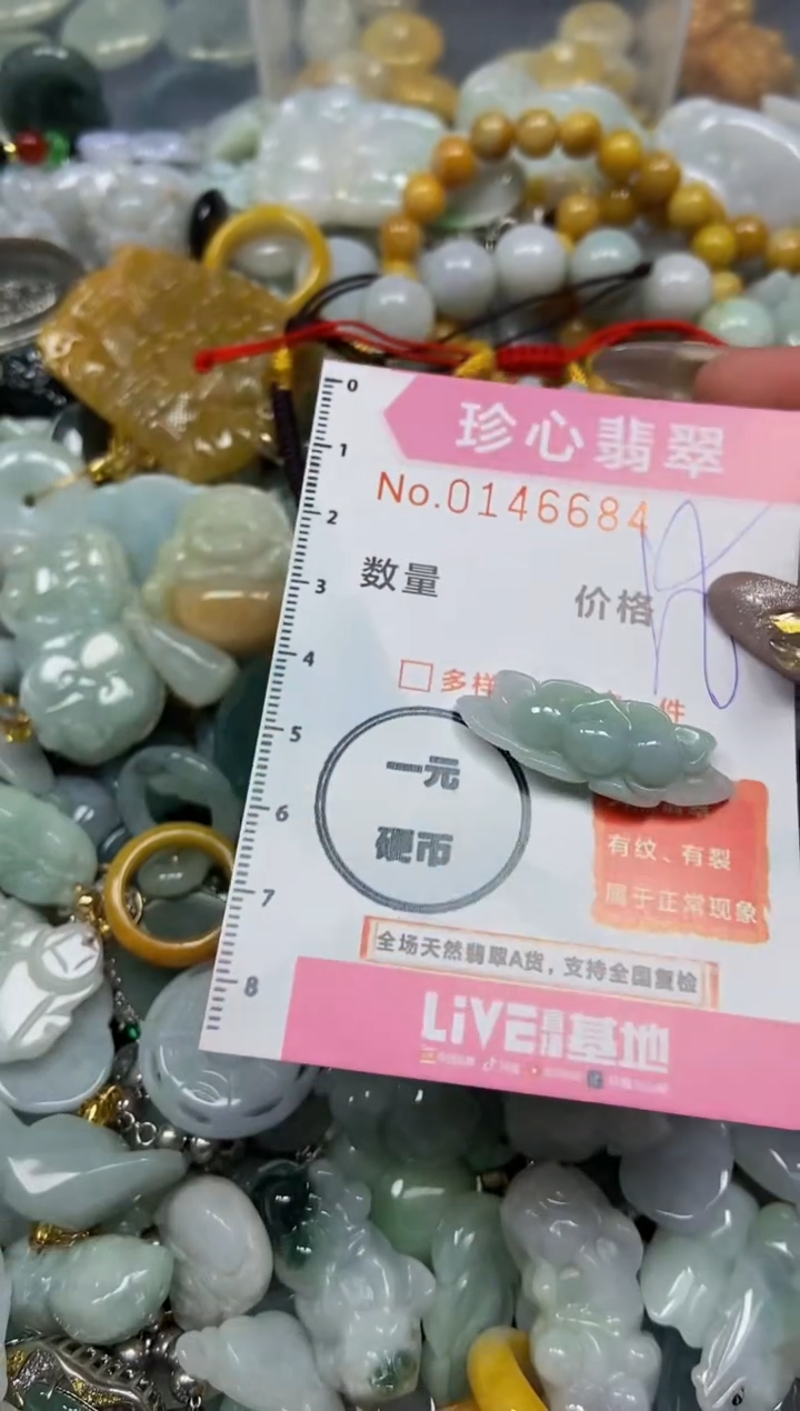 【闪购商品】翡翠颈饰未镶嵌闪购0146684