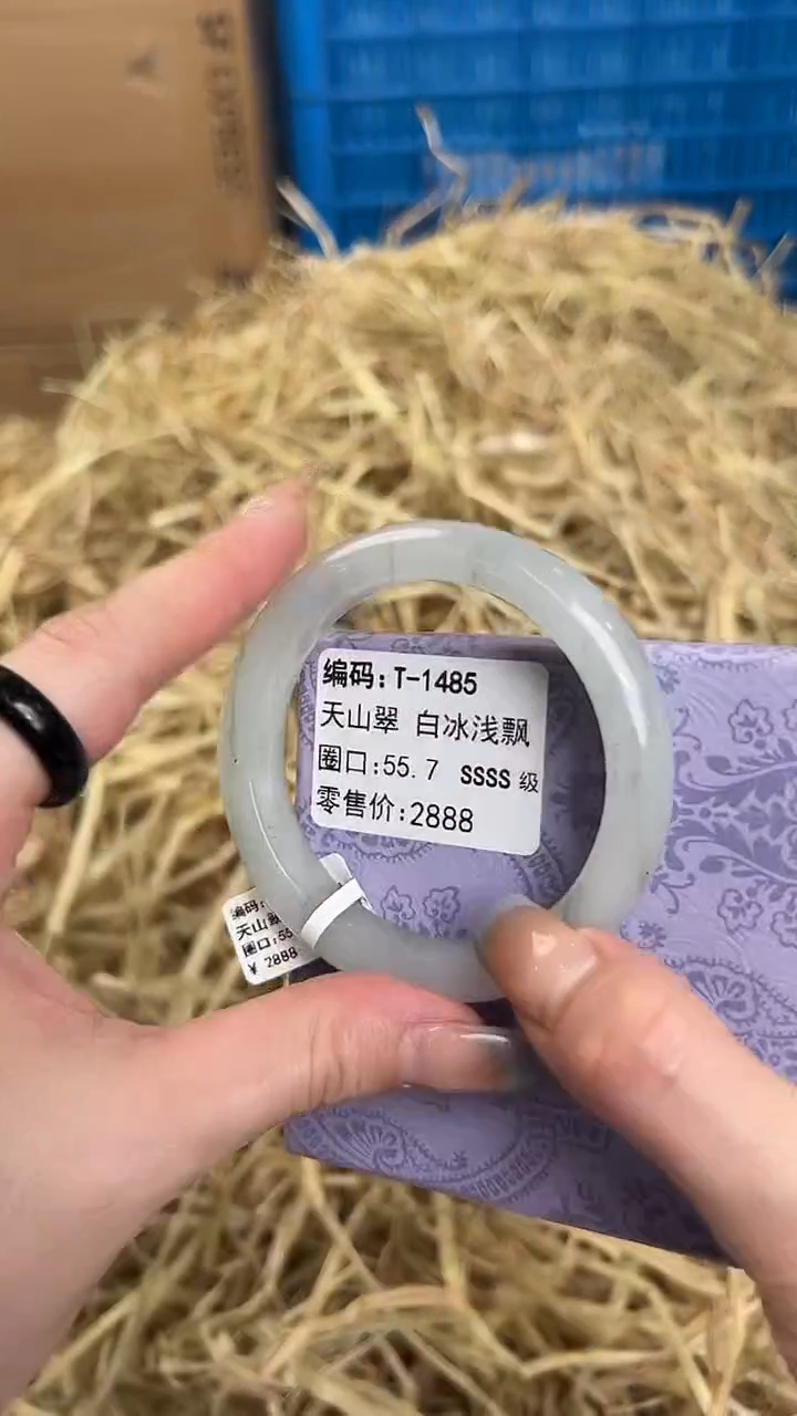 未镶嵌手镯石英质玉T-1485