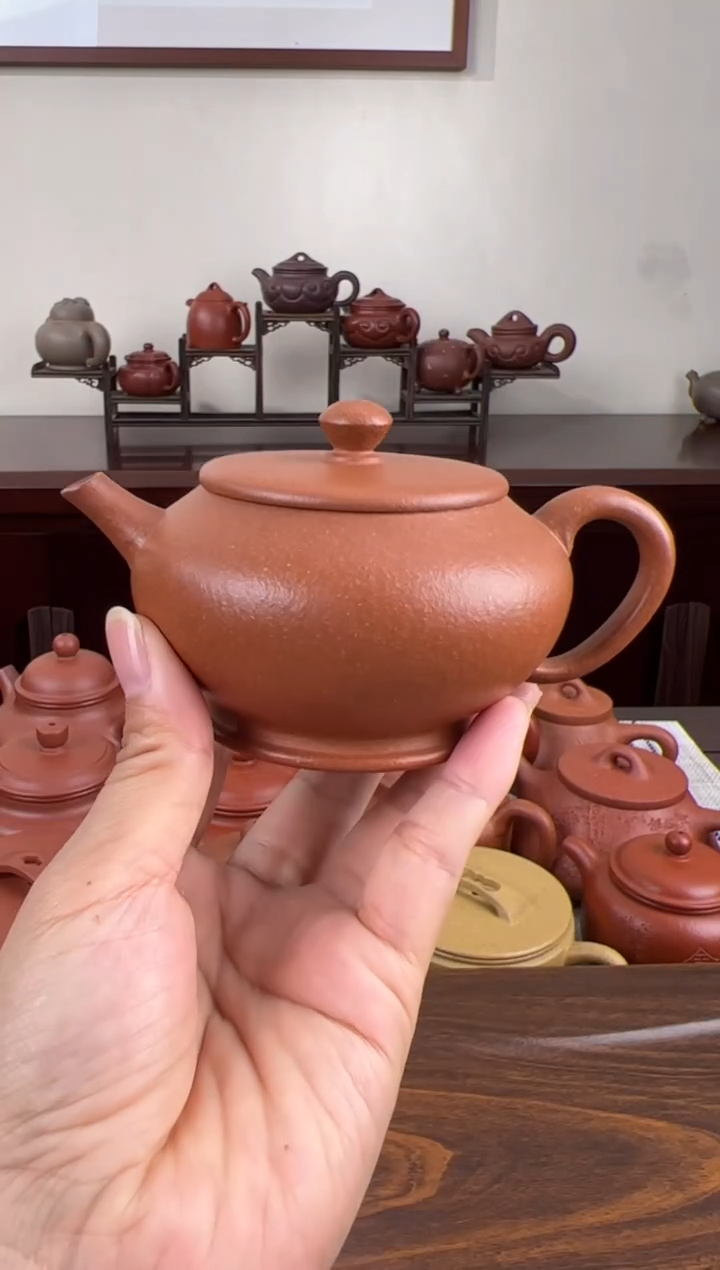 茶壶紫砂黄降坡独欢壶170CC