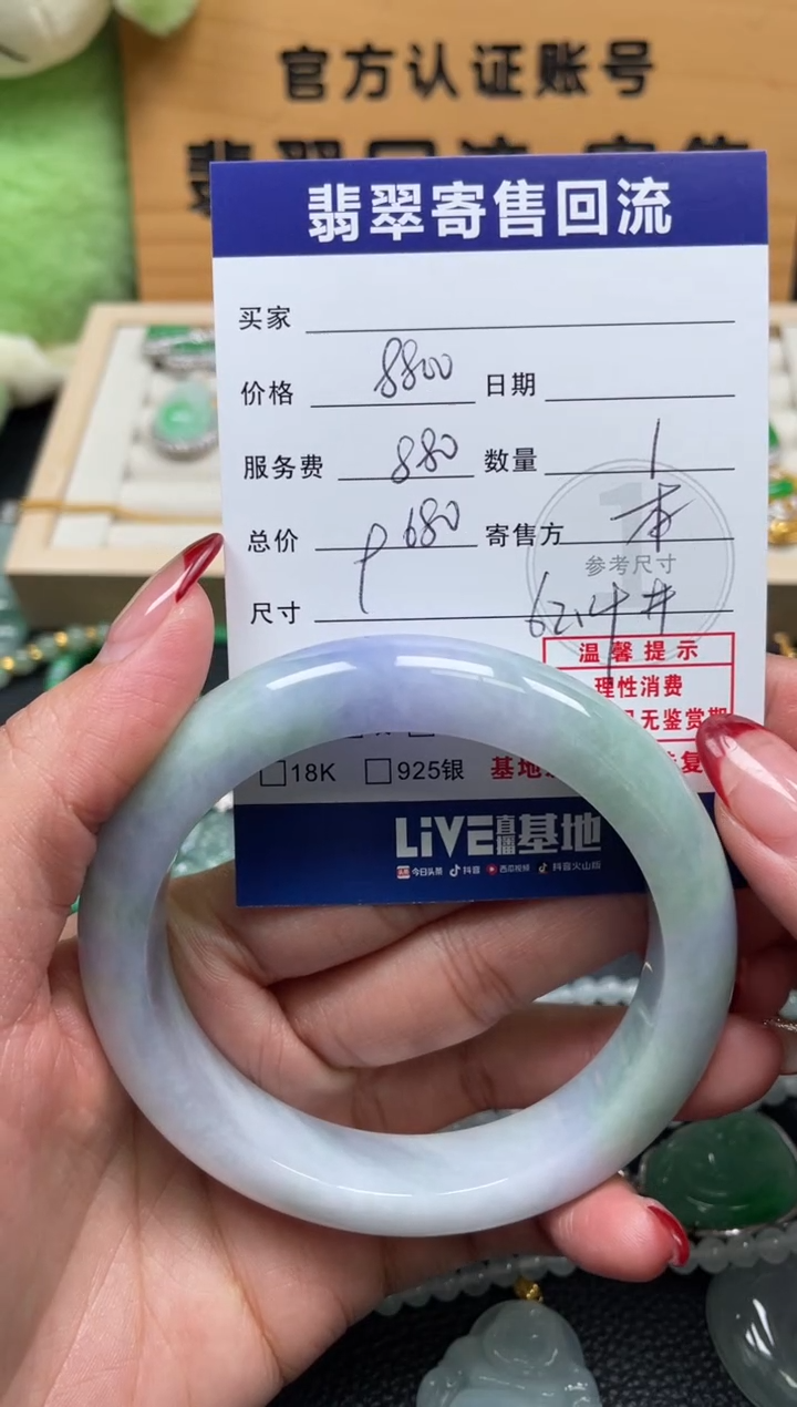 未镶嵌手镯翡翠10152644