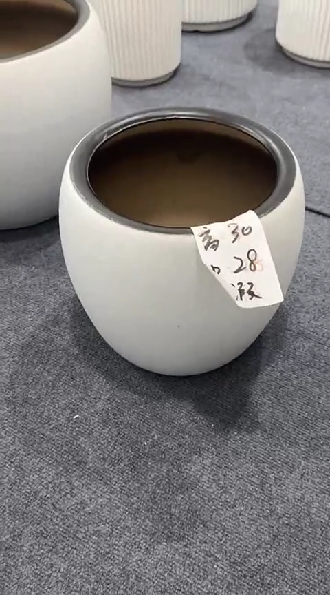 白色球形大号1个