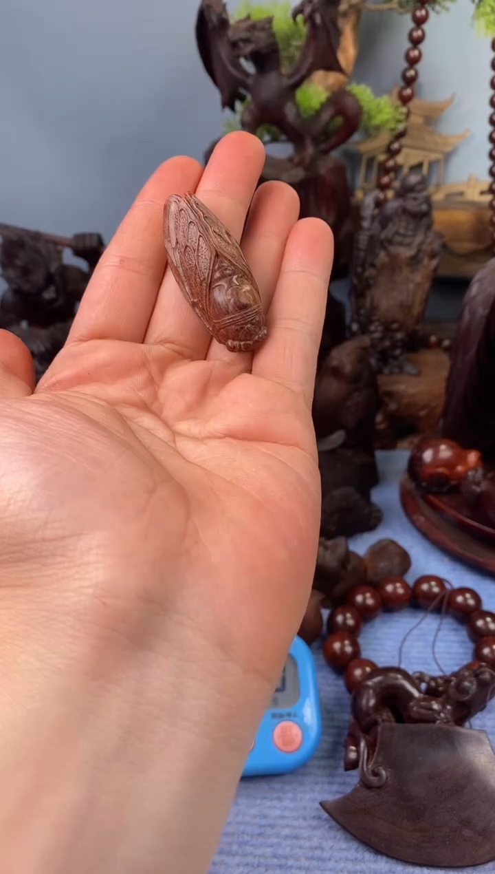 黄花梨/降香黄檀良蝉