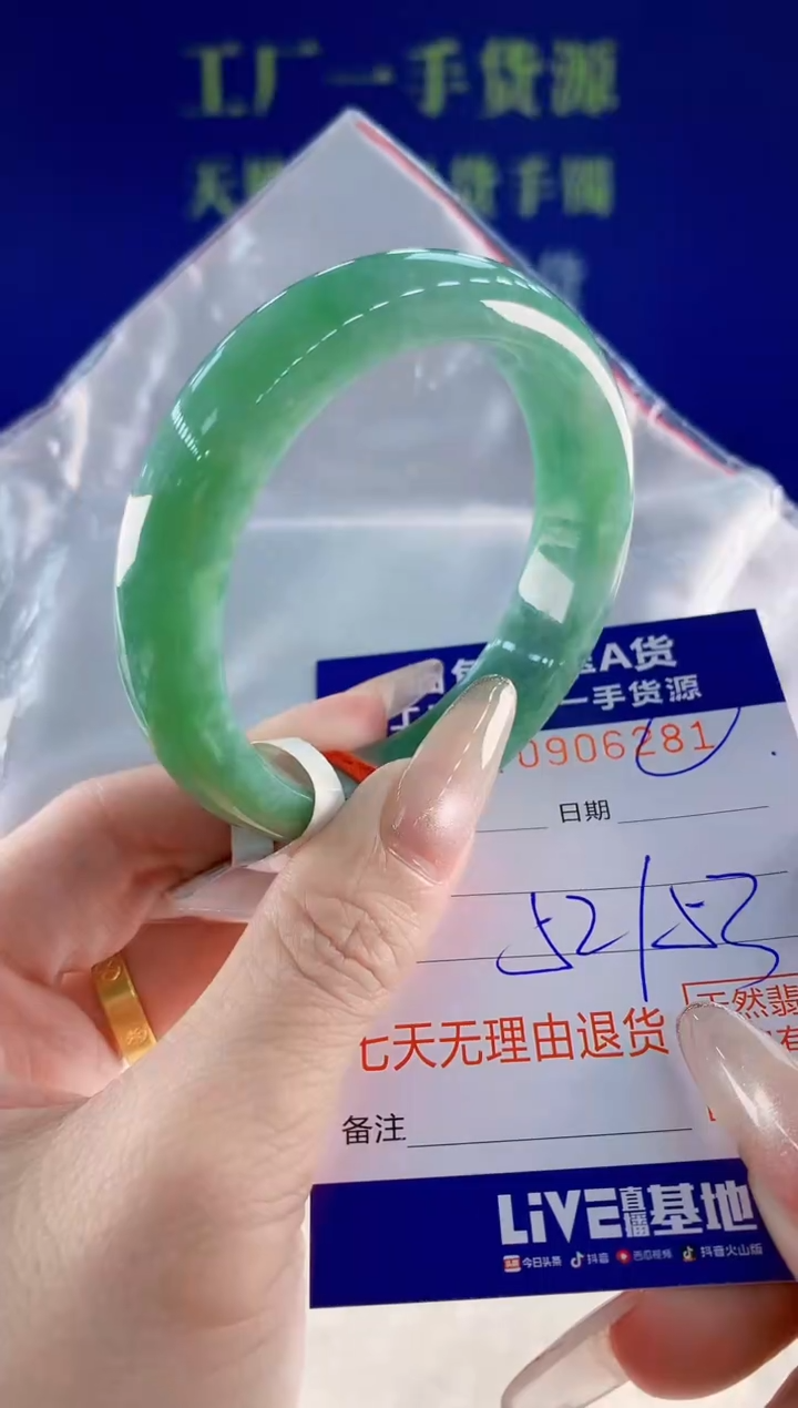 未镶嵌手镯翡翠81