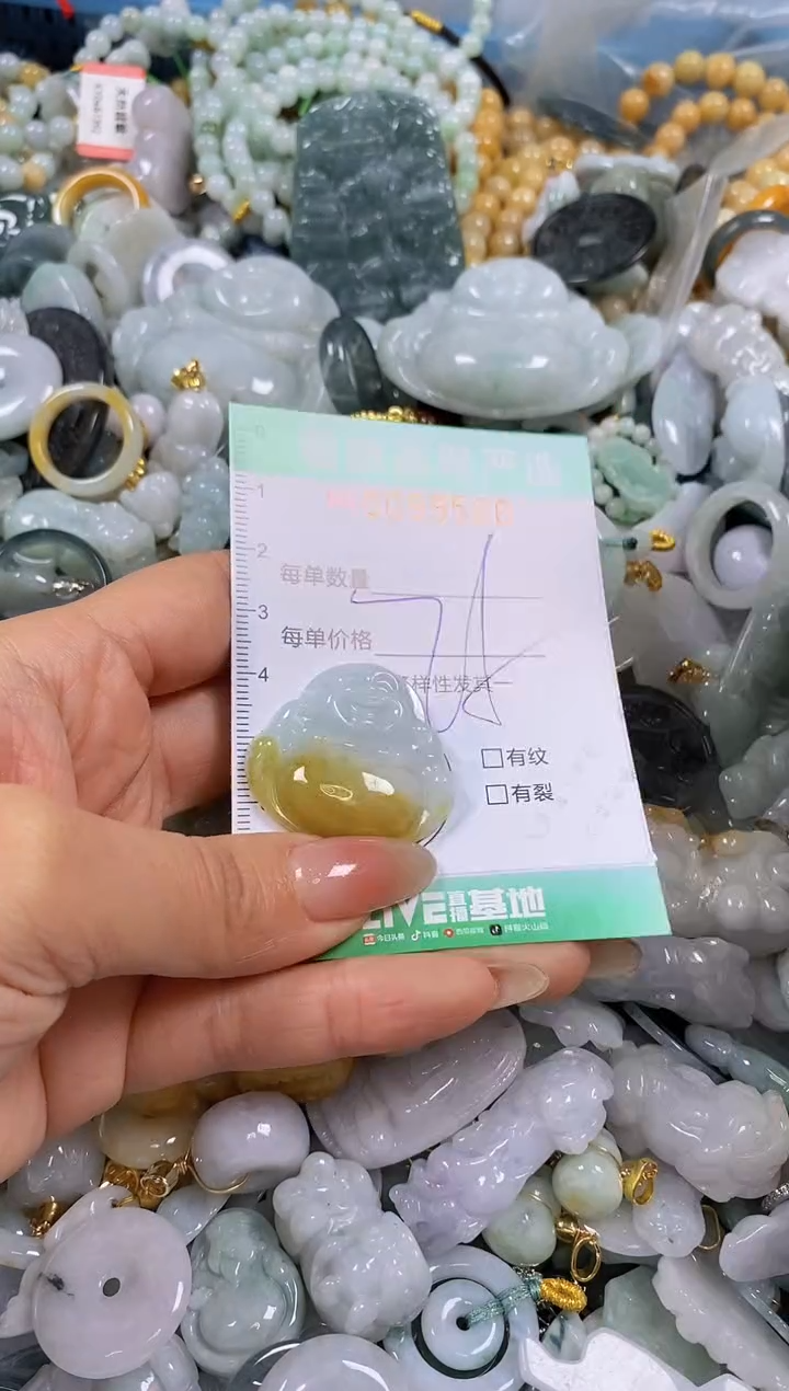 【闪购商品】翡翠颈饰未镶嵌闪购0099560