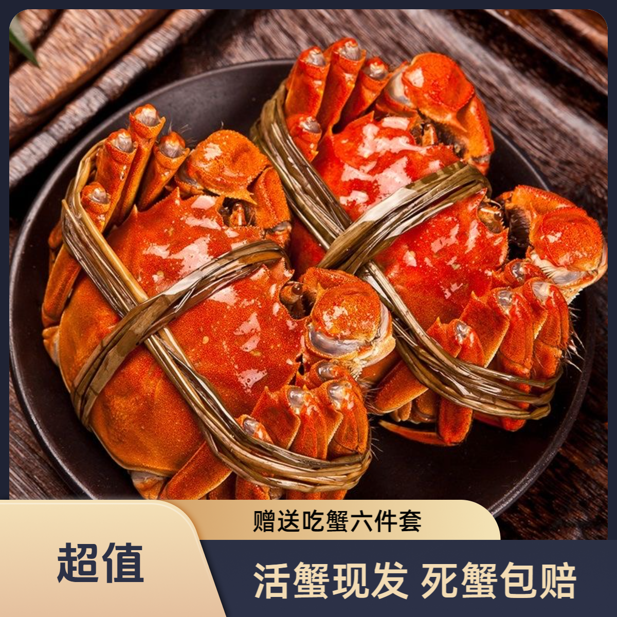 【苏州活蟹全母蟹现货礼盒】阳澄天使母蟹2.8两-3.1两4只-10只装鲜活精品蟹青蟹青壳蟹