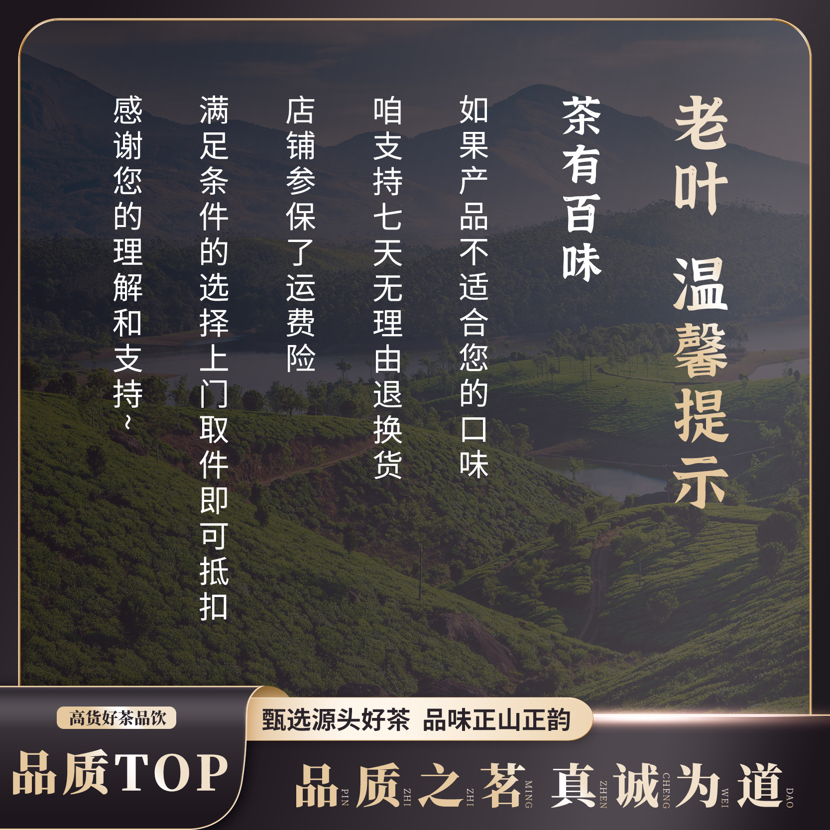 【武夷岩茶】牛栏坑肉桂