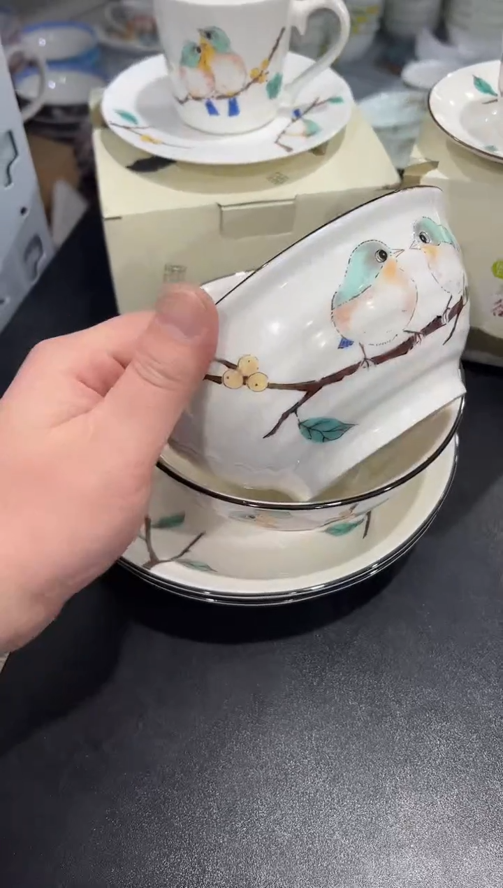 杯子骨瓷（简装）6寸小鸟拉面碗两个