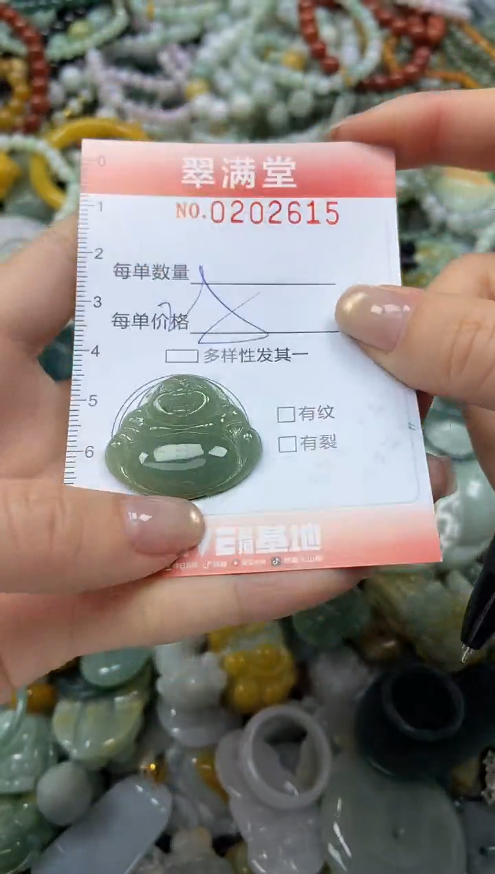 颈饰未镶嵌翡翠闪购0202615