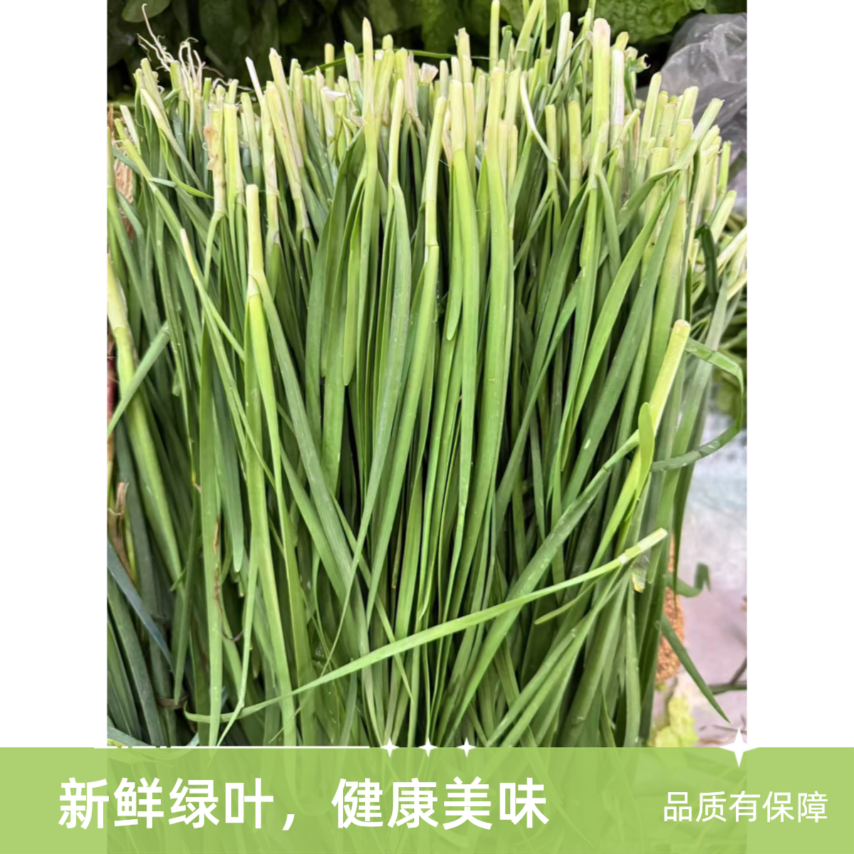 韭菜