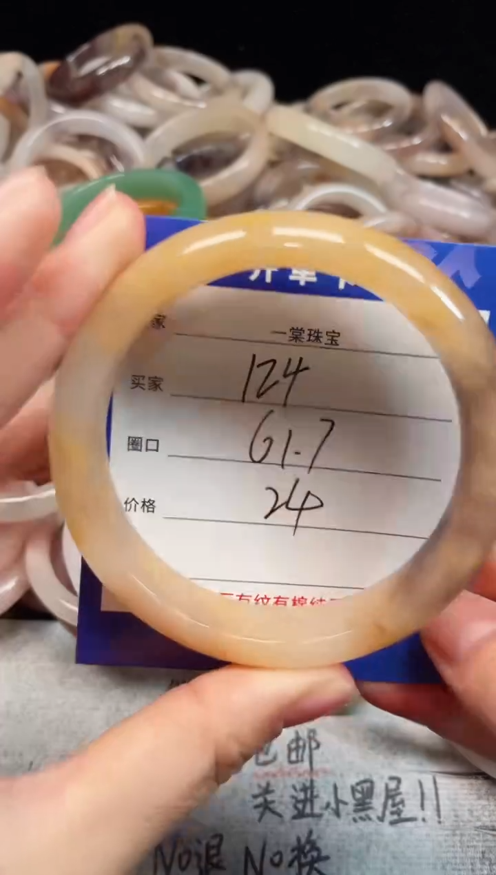 未镶嵌手镯石英质玉124