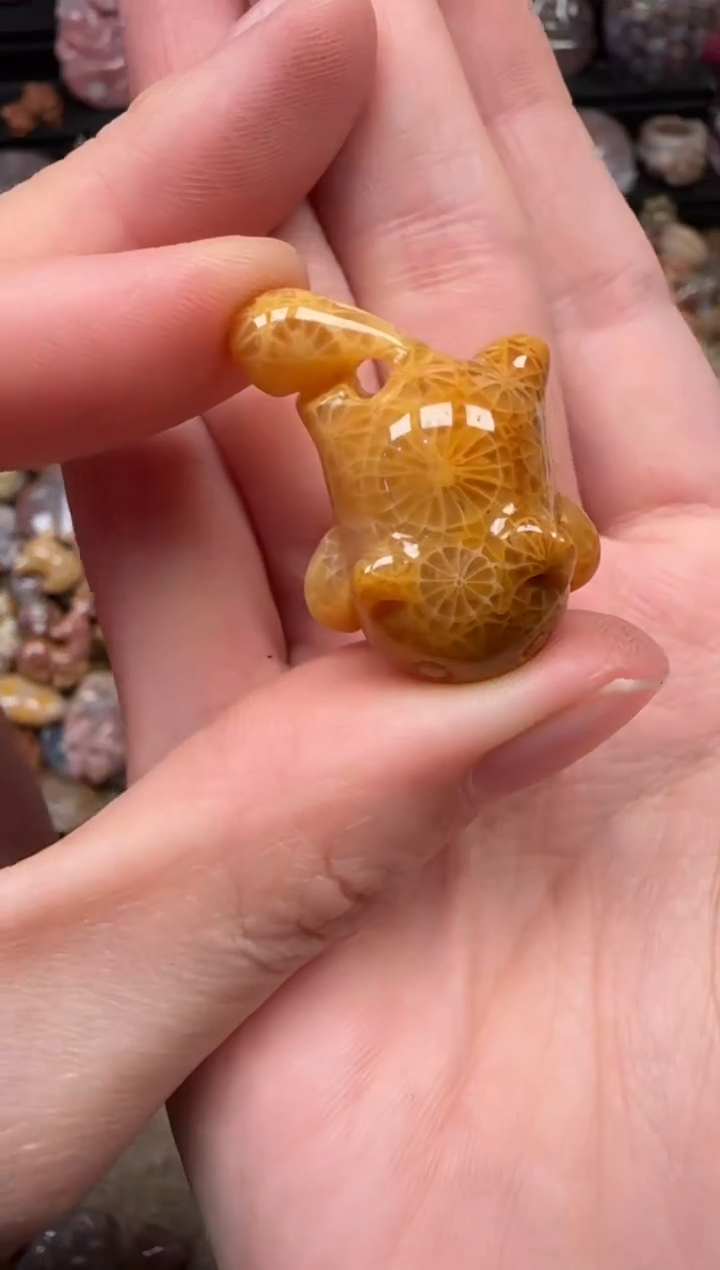 颈饰未镶嵌硅化珊瑚（珊瑚玉）370